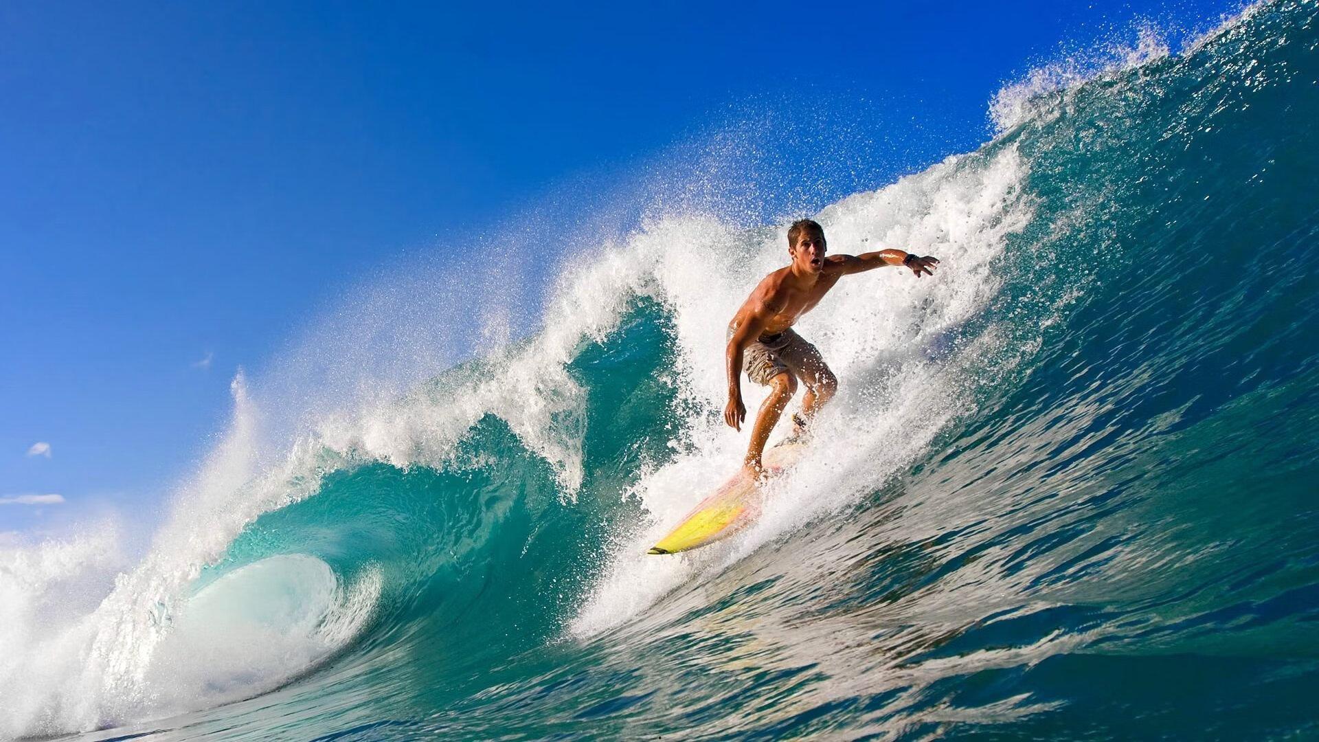 中国皮划艇队亚锦赛斩获三金 年轻选手表现亮眼