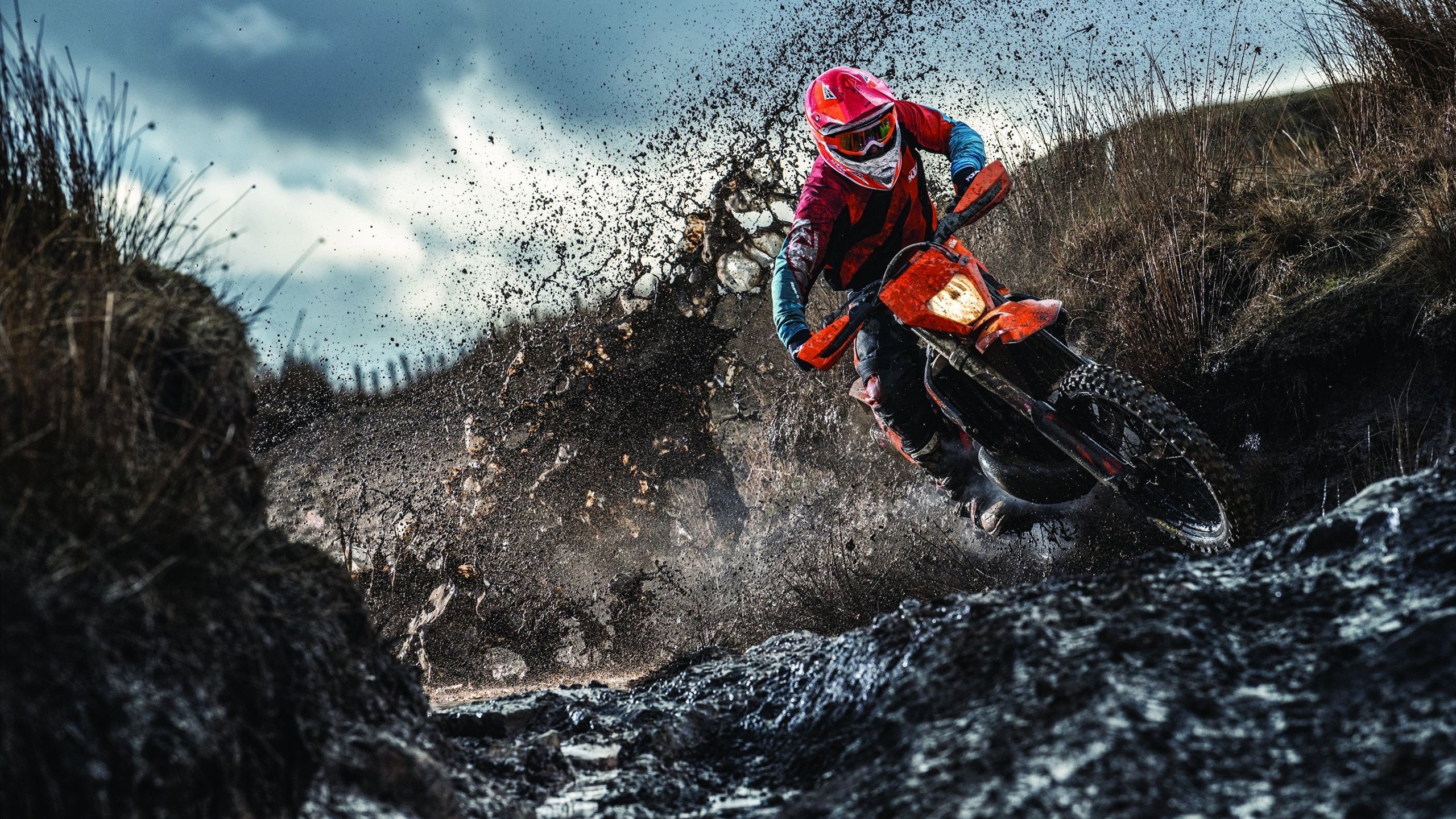 巴黎奥运会筹备进入冲刺阶段,全球健儿蓄势待发