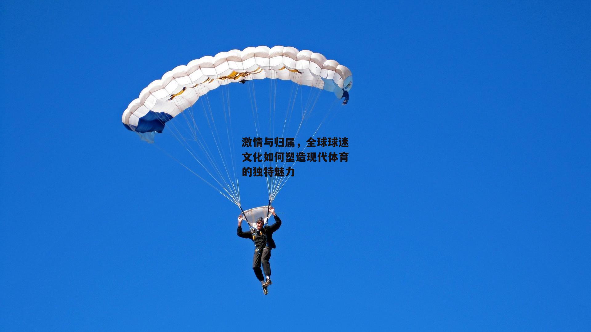 激情与归属，全球球迷文化如何塑造现代体育的独特魅力